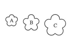 blossom 5p set of 3 - 140
